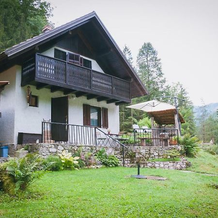 Naturalina Holiday House Gorenja Trebusa Exterior foto