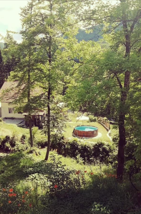 Naturalina Holiday House Gorenja Trebusa Exterior foto