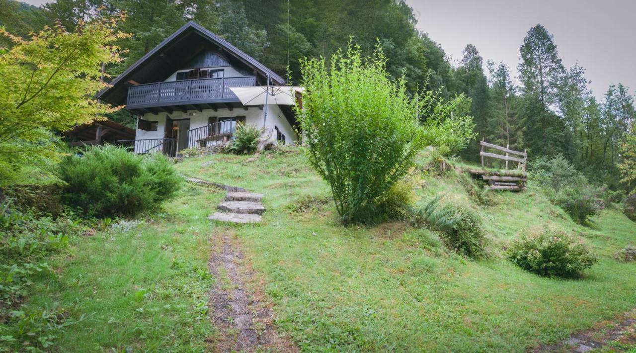 Naturalina Holiday House Gorenja Trebusa Exterior foto