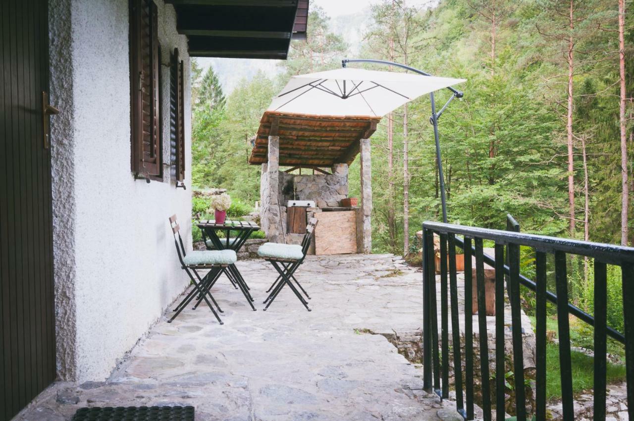 Naturalina Holiday House Gorenja Trebusa Exterior foto