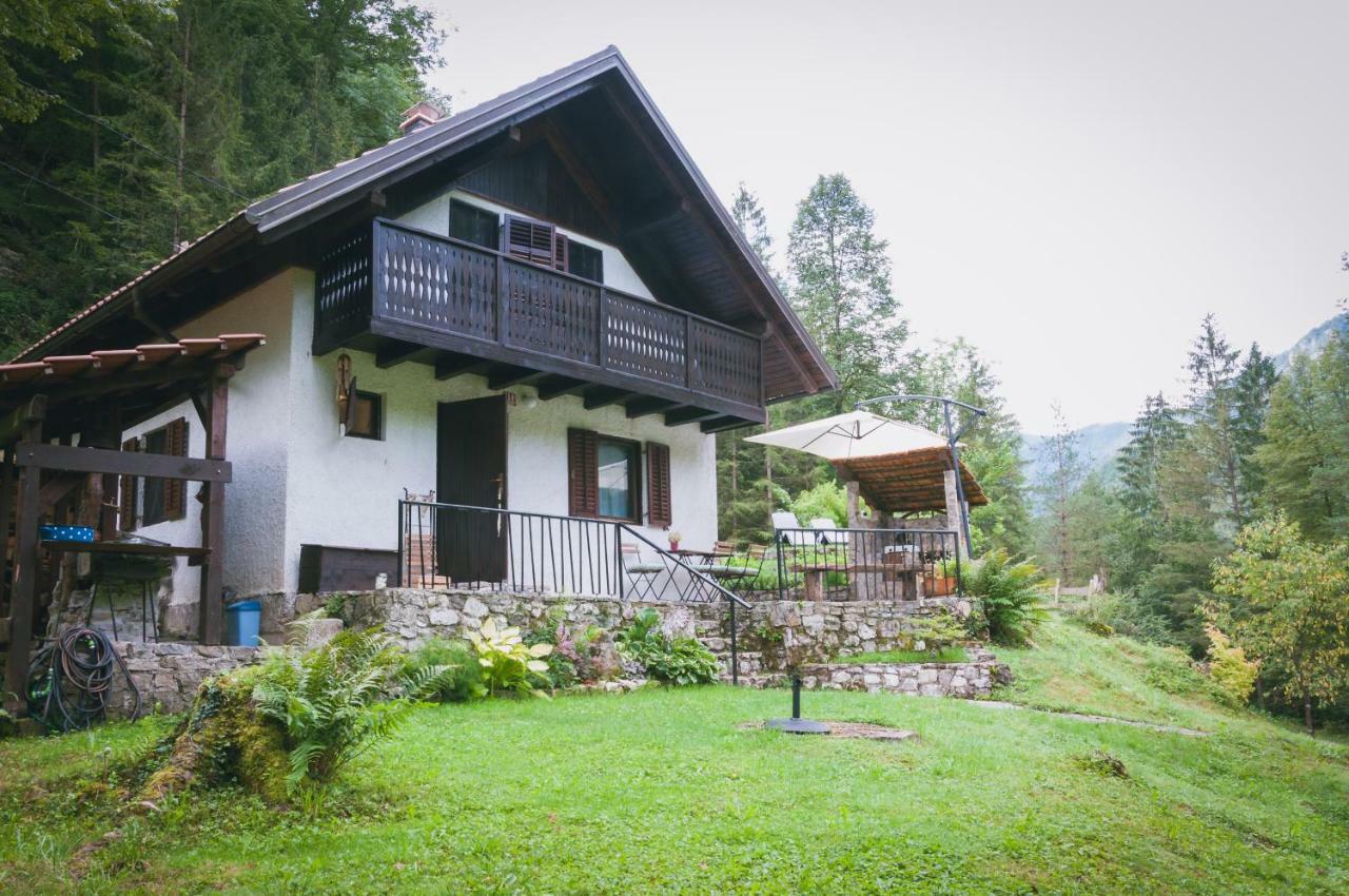 Naturalina Holiday House Gorenja Trebusa Exterior foto
